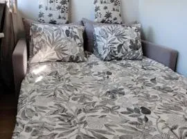 Cozy apartment with free parking!