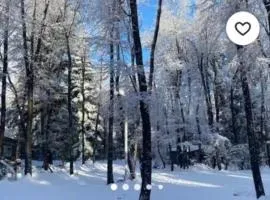Chalet de Montaña Nevados de Chillan
