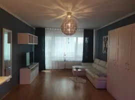 1 room stylish appartment in Wiesbaden