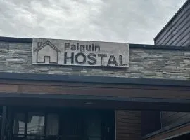 Hostal Palguin 261