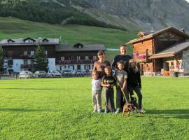 Chalet Del Sole per gruppi，位于利维尼奥的木屋