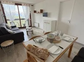 Pegase phenix studio cabine et balcon vue montagne