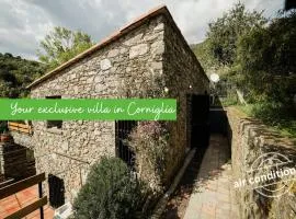 Villa Olive Mill Terra Rossa