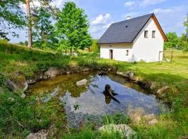 Klid na kraji lesa v České Kanadě - celý dům
