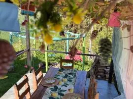 Happy Days House - Cottage near Khulo & Shuakhevi