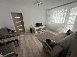 Margo Apartament cu 2 camere