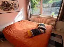 Airbn'BD - spacious and cozy studio, very central and easy access