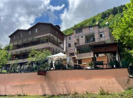 Lapera Otel，位于Borçka的酒店