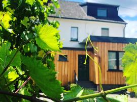 Eifel-Quartiere "Seminar Quartier"，位于Antweiler的酒店