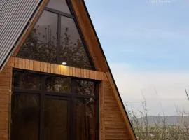 Delta Rest House