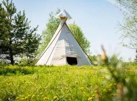 Briedžio sapnas - tipis saulė