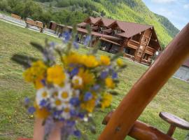 Chalet in Muntii Vrancei，位于Greşu的酒店