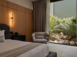 Casa Carmen Xólotl