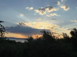 Verga Olive Grove Studio
