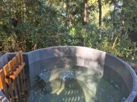 cabañasmanantialpanguipulli