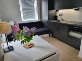 Studio Sleeps 2 Sollentuna centre