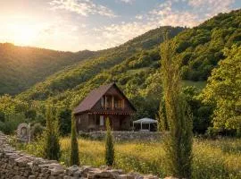 Pankisi Wooden Cottage