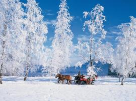 Pensiunea Bella Vita，位于哈尔吉塔拜的滑雪度假村