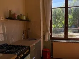 Maison Bourgeoise années 50