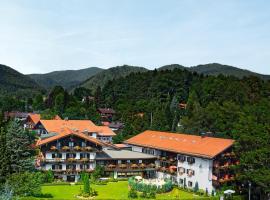 Hotel Alpenhof，位于巴特维塞的Spa酒店