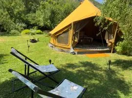 Tipi