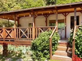 Chalet Bungalow 2 Chambres 56