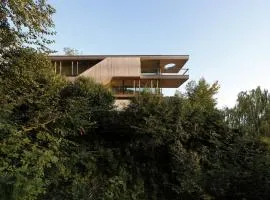 Haus am Felsen, Ferien in Vorarlberger Architektur