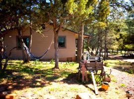 Peaceful Pine Place Cabin，位于Pine的酒店
