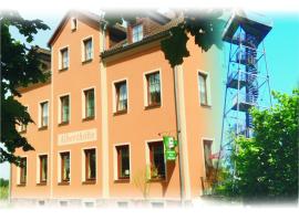 Waldgasthof & Hotel Alberthöhe，位于利希滕斯泰因的酒店