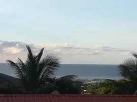 TAHITI - Condo Ariitea