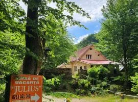 Casa de vacanta Julius