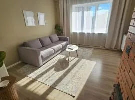 Ülejõe Apartment with Free Parking
