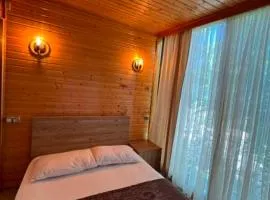 MACHAKHELA COTTAGES-კოტეჯები მაჭახელაში