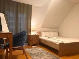 Stylish Room and private bathroom in lakefront apartment