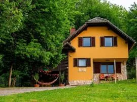 Apartment ZARJA