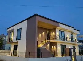 SD House