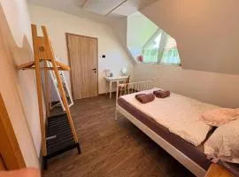 Apartma Arja