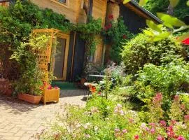 Le chalet caché, au pied des Chambarans
