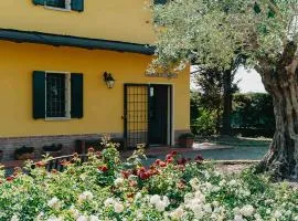 Villa nel Verde - Camera con bagno privato - vicino INAIL e FIERE - Via Erbosa 1B