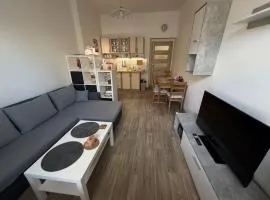 Flat in the heart of Decin close to via ferrata