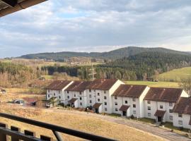 Genussvolle Entspannte Auszeit I Balkon I Burgblick，位于雷根的酒店