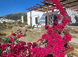 Apollon-Artemis Apartments