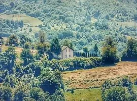 Vila Brdjanka
