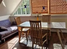 Luxuswohnung, 90 qm, Balkon, beste Lage in Kollmar