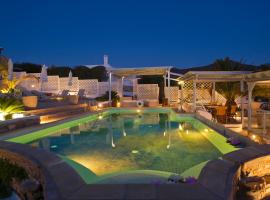 Blue Dolphin Antiparos Villas and Suites，位于圣乔治亚海滩的公寓