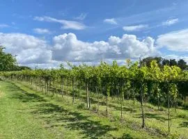 Italien Vinyard Feeling Close To Karrebæksminde