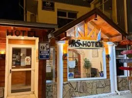 MS Hotel Campos 26