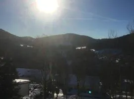 Appartement im Skigebiet Eschenberg Winterberg Niedersfeld