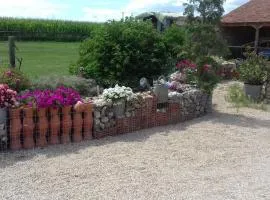 Chbres D'hôtes Ferme De Champliveau