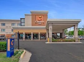 Comfort Inn Detroit Downtown